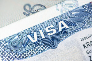 companies that sponsor h1b visas most consistently