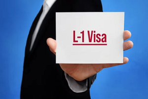 man holding plain paper with l1 visa written on it with blue background